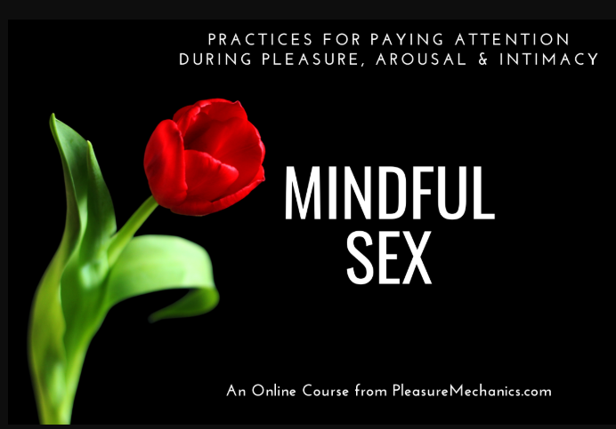 Plesure Mechanics – Mindful Sex (Premium)