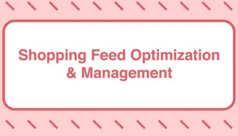 Take Some Risk – Shopping Feed Optimization and Management (Premium)