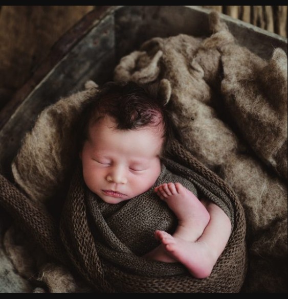 Twig & Olive – Floral Matte LR (Premium)