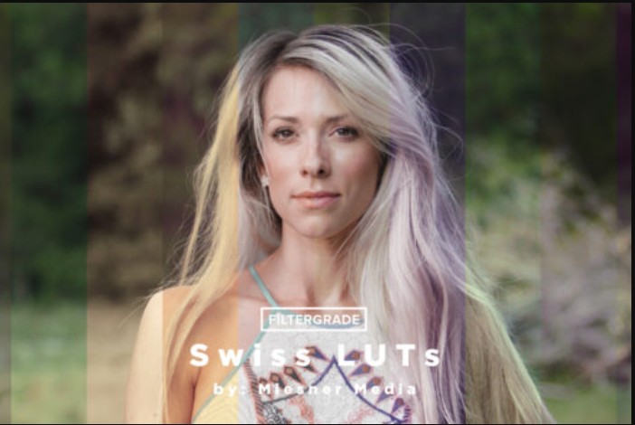 Theo Miesner Swiss Video LUTs (Premium)