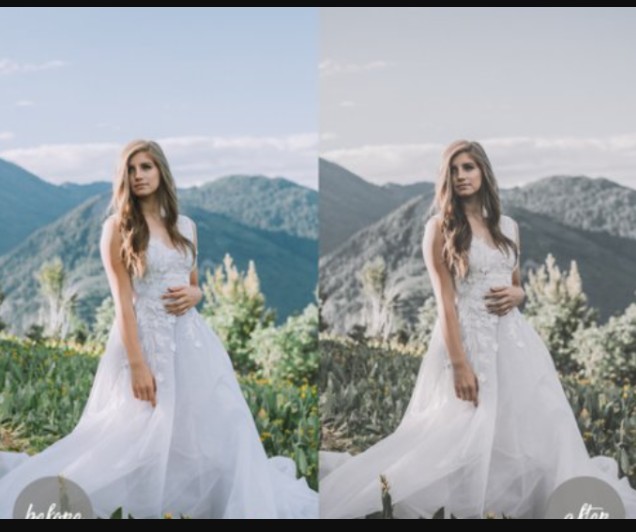 Wedding Presets Lightroom (Premium)