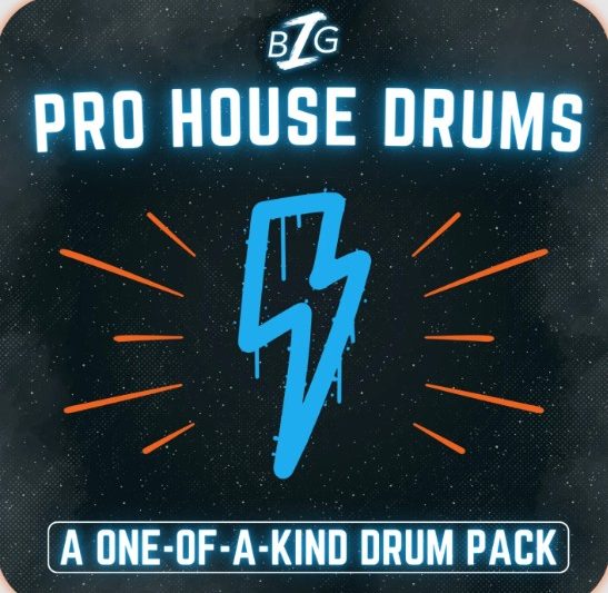 Big Z Sounds Big Z’s Pro House Drums (Premium)