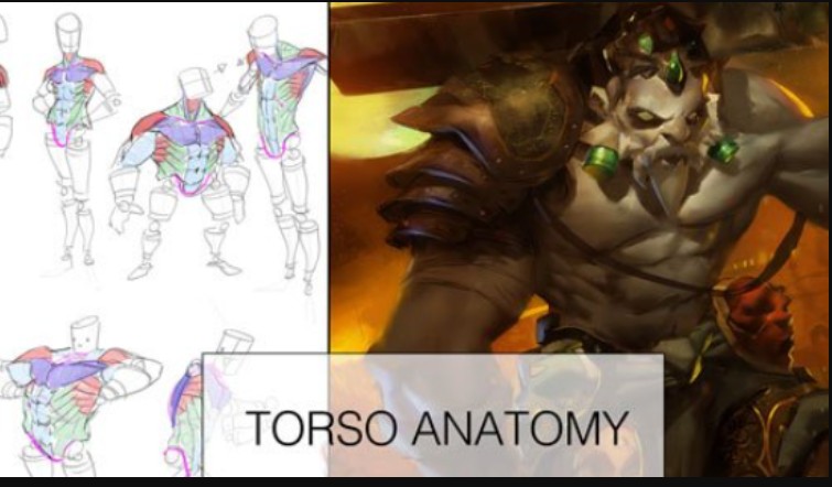 Gumroad –Torso Anatomy Lesson + Painting! (Premium)