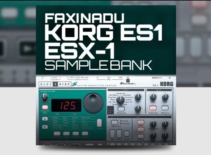Ocean Swift Faxinadu Korg ES1 ESX-1 Samplebank (Premium)