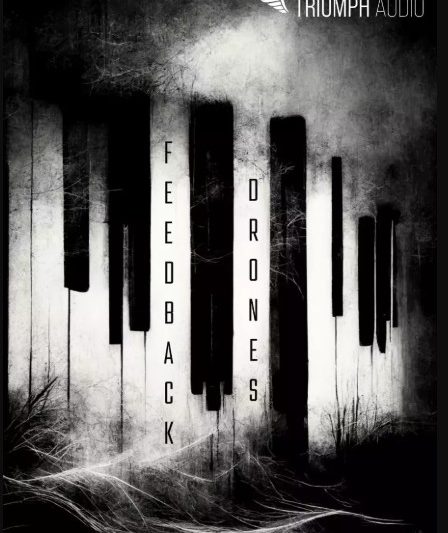 Triumph Audio Feedback Drones KONTAKT (Premium)