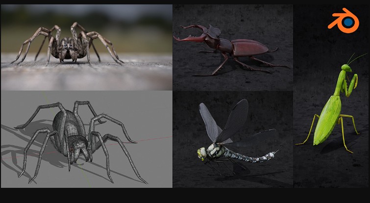 Blendermarket – Blender 2.81 – Insect And Spiders Creation Full Course (Premium)