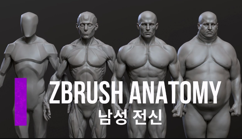 CGBump – Zbrush Senior Anatomy (Male) (Premium)