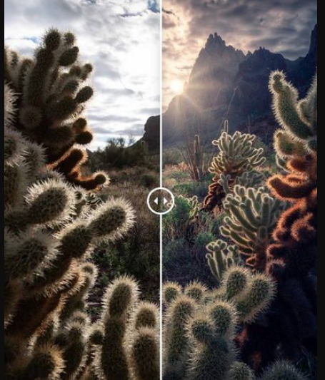 Max Rive Photography – Photoshop Sunstar Creation Tutorial (Premium)