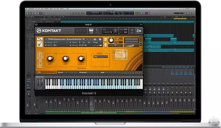 Pettinhouse Acoustic Guitar 2.1 KONTAKT (Premium)