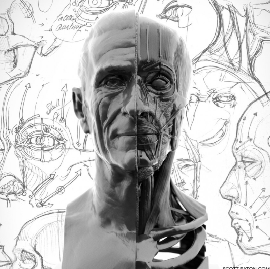 Scott Eaton – Portraiture & Facial Anatomy (Premium)