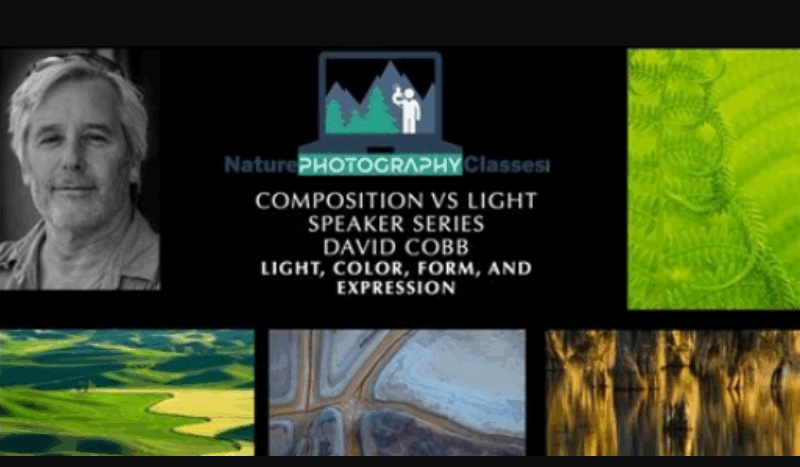 Nature Photography Classes – David Cobb – Light, Color, Form, and Expression (Premium)