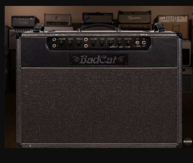 Alter Amp Works BC30 Sampson 212 Tonex Capture pack (Premium)