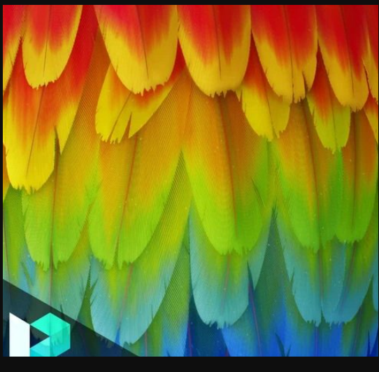 Gumroad – Levelup Digital – Feather Creation | Romain Lemaire (Premium)