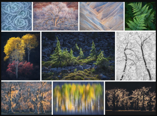 Alex Noriega Photography – Simplify Tutorial (Premium)