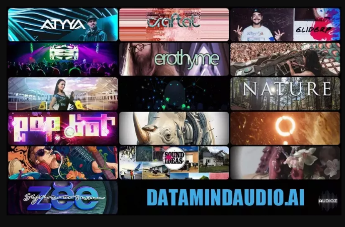 DataMind Audio Combobulator 51 Models Pack (Premium)