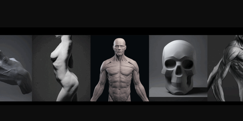 Mold 3D Academy – Artistic Anatomy – Daniel Crossland (Premium)