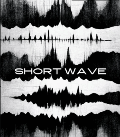 Triumph Audio Short Wave KONTAKT (Premium)