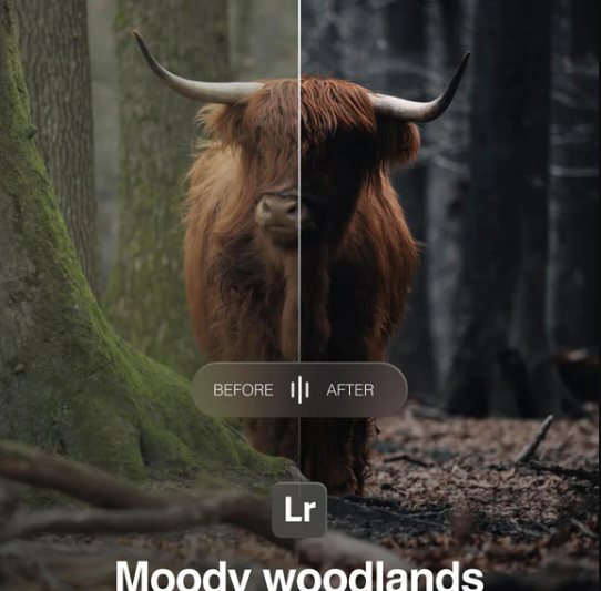 Amar Muric – Moody Woodlands Lightroom Presetsv (Premium)