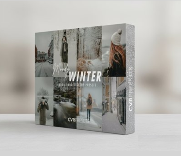 CVRPresets – Moody Winter Lightroom Presets (Premium)