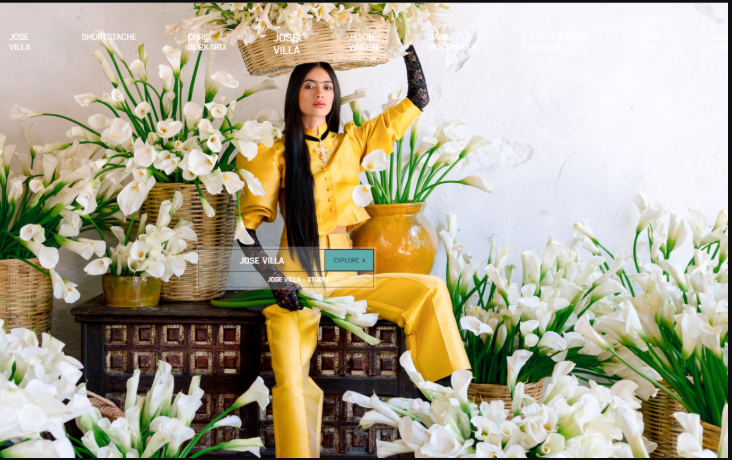 Dvlop – JONAS PETERSON Lightroom & ACR Presets  (Premium)