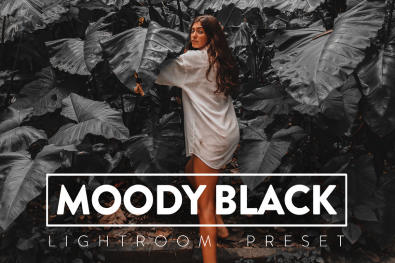 FilterGrade – 10 Moody Black Lightroom Preset (Premium)