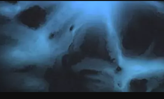 Native Instruments Scene Willow v1.0.0 KONTAKT (Premium)