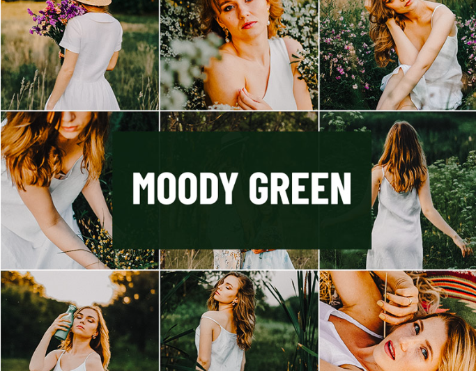 Psd Stack – Moody Green Lightroom Preset  (Premium)