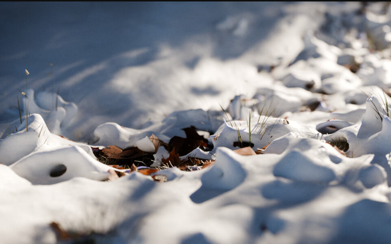 SuperhiveMarket – Snow  (Premium)