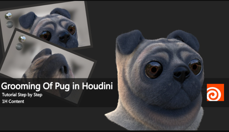 Artstation – Grooming Of Pug In Houdini  (Premium)