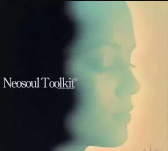 Dionso and Xandros Neo-Soul Toolkit Vol.1 (Premium)