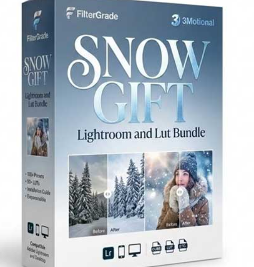 FilterGrade – Snow Gift Lightroom and Lut Bundle  (Premium)