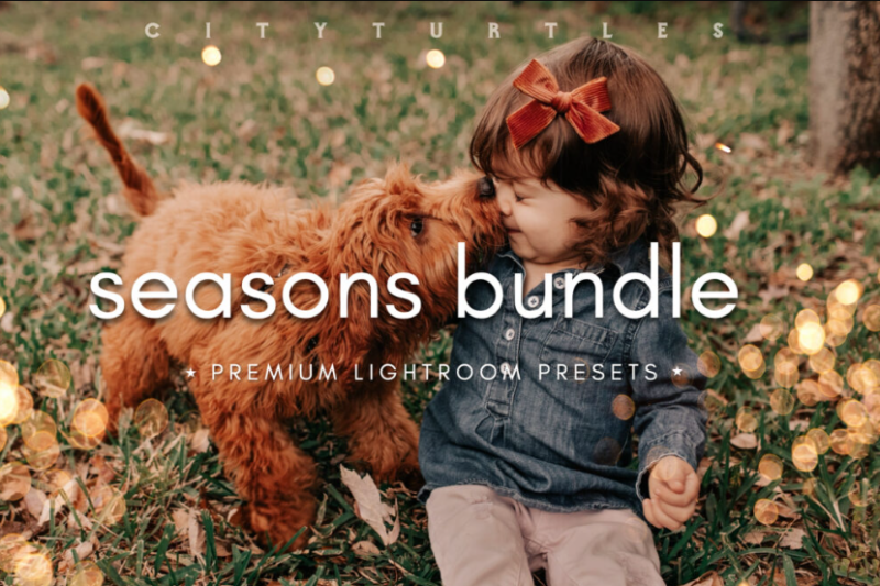 Filtergrade – THE SEASONS BUNDLE – Premium Photography Lightroom Presets (Premium)