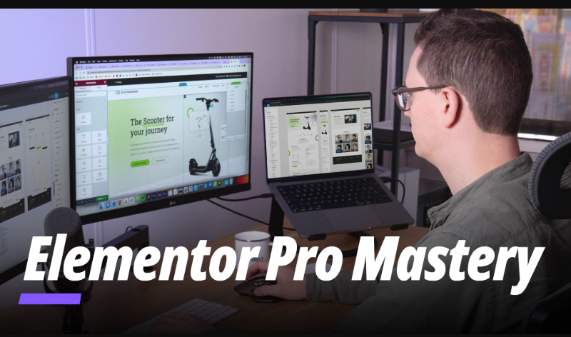 LivingWithPixels – Elementor Pro Workflow Mastery (Premium)