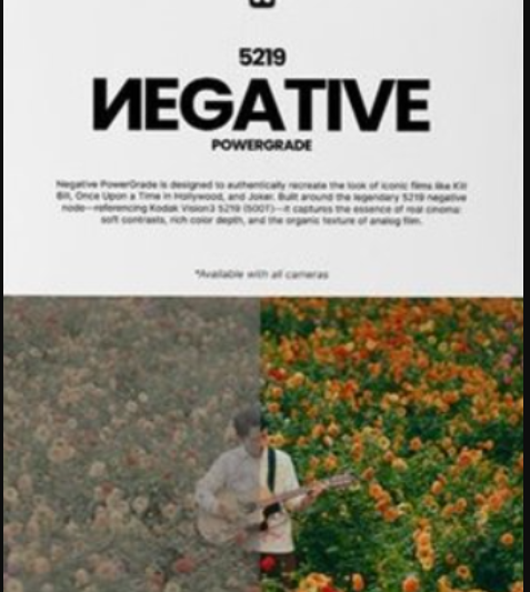 Loris Marie – Negative Powergrade for Davinci (Premium)