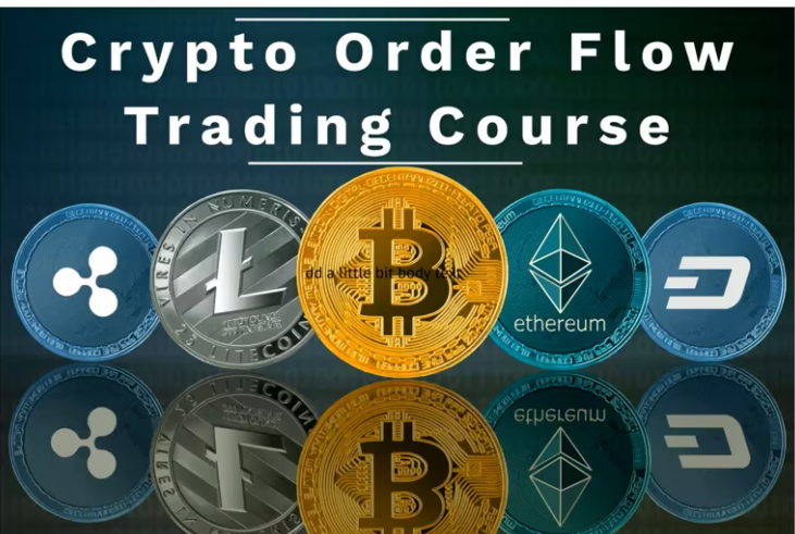 OrderFlows – Crypto Order Flow Trading Course – Mike Valtos  (Premium)