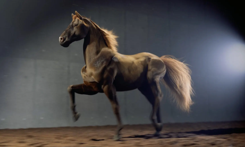 Rebelway – Creature Rigging in Houdini (Premium)