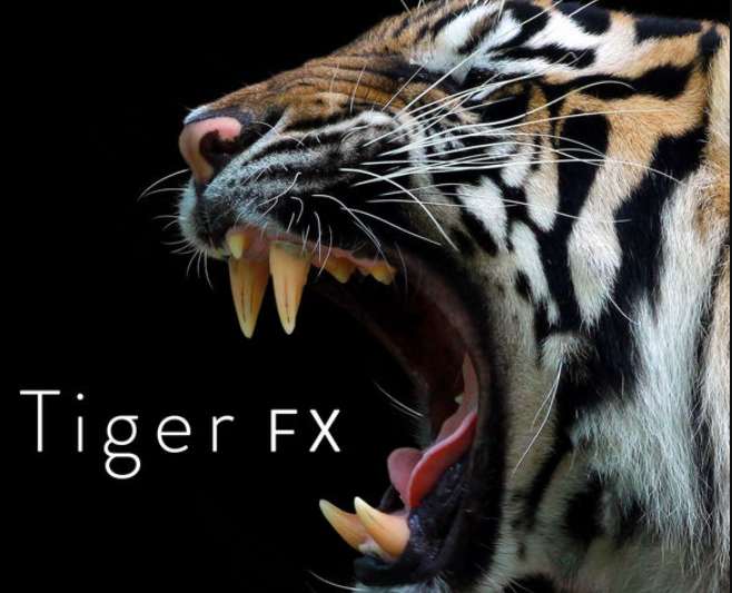 Sound Ideas Tiger FX FLAC  (Premium)
