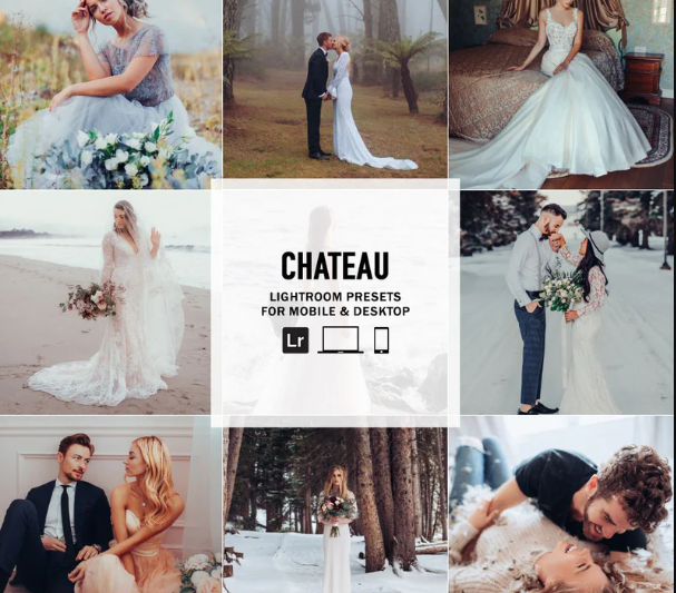 The Luxe Lens – Chateau – Single Color Palette Lightroom Presets & AI Tools (Premium)