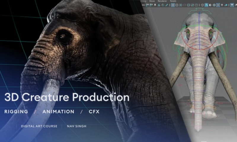 Gumroad – 3D Creature Production – Rigging, Animation and CFX (Premium)