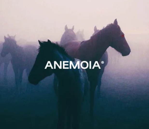 Sapjer Anemoia Soundkit (Premium)