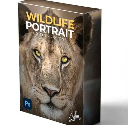 Zenzcourses – Wildlife Portrait Editing  (Premium)